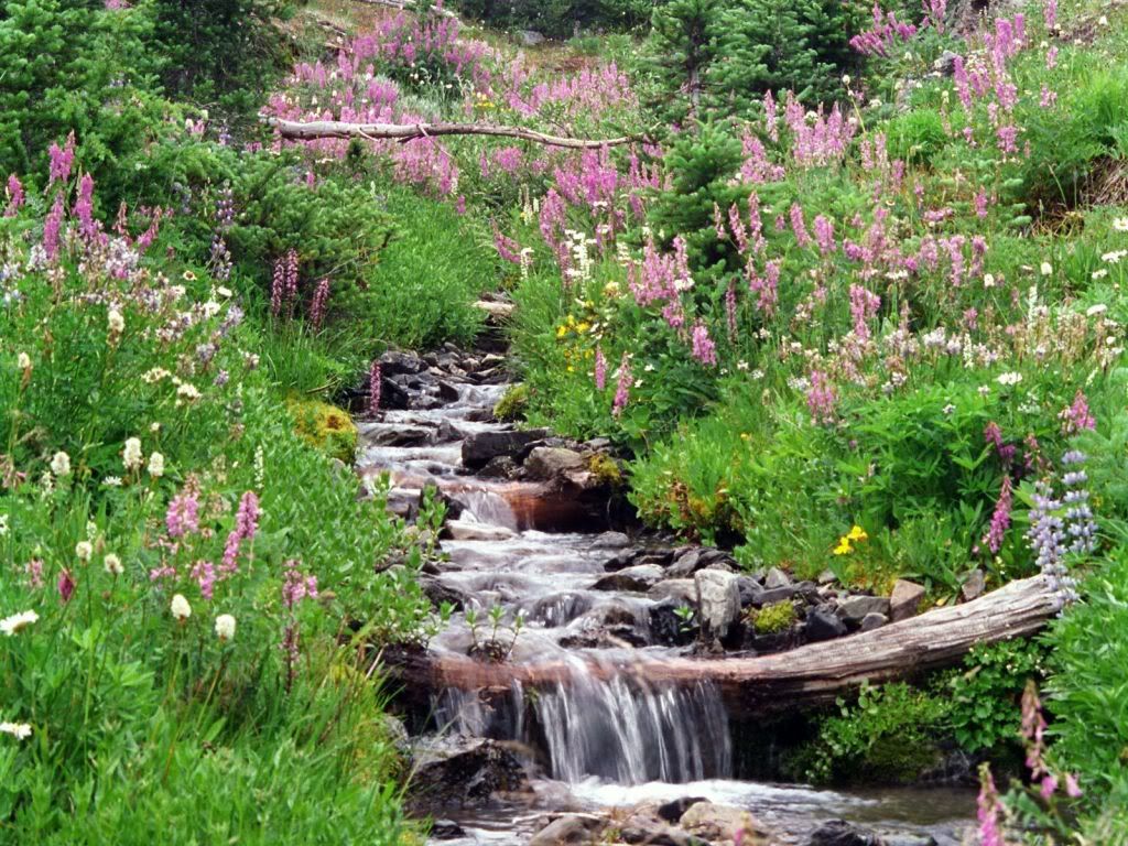 BadgerValleyOlympicNationalParkWash.jpg