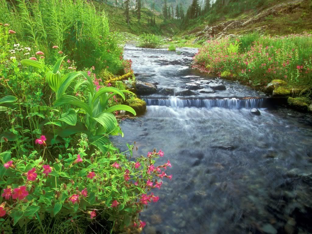 BagleyCreekMountBakerWildernessWash.jpg