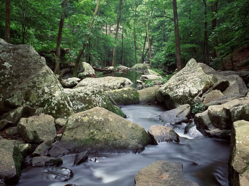 CedarCreekPetitJeanStateParkArkansa.jpg