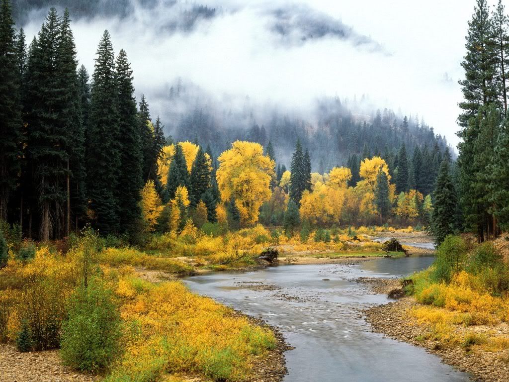 ChewackRiverOkanoganNationalForestW.jpg