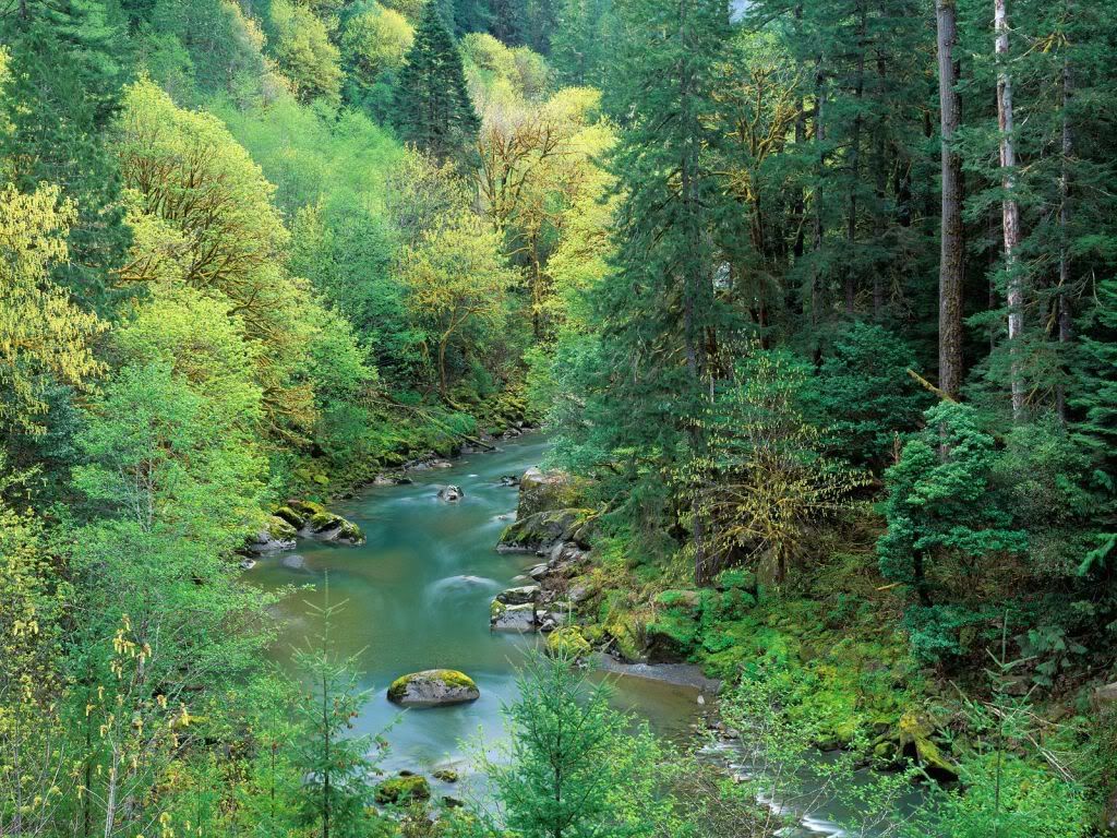 CoquilleRiverinSpringSiskiyouNation.jpg