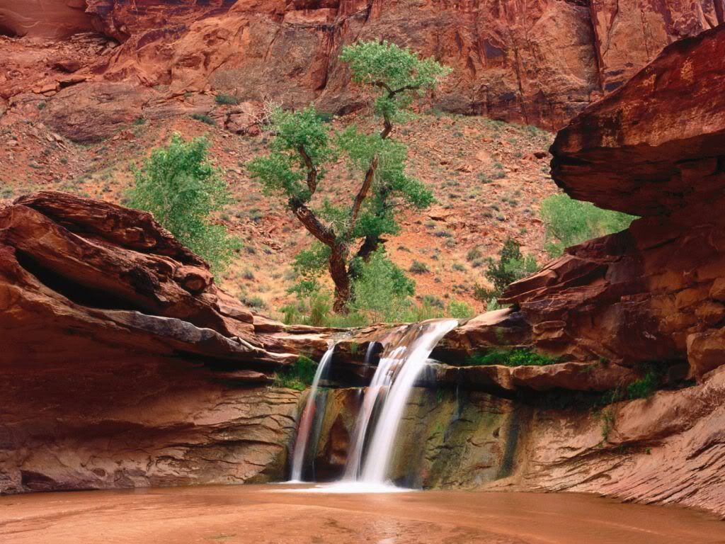 CoyoteGulchEscalanteRiverCanyonsUta.jpg