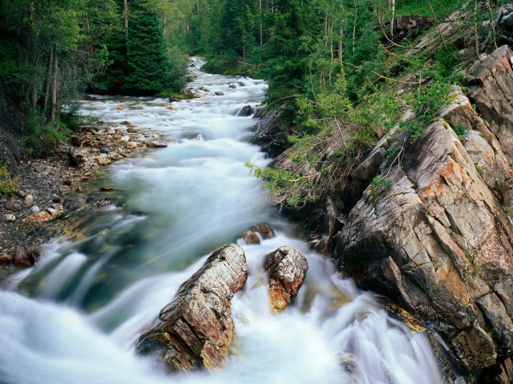 CrystalRiverGunnisonNationalForestC.jpg