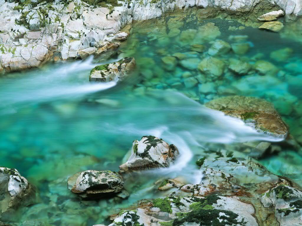 ElkRiverFlowingThroughWhiteCanyonRo.jpg