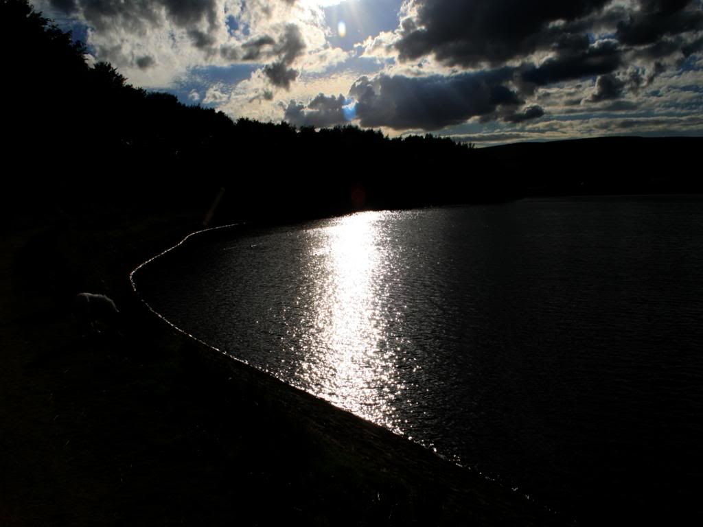 Landscape1.jpg