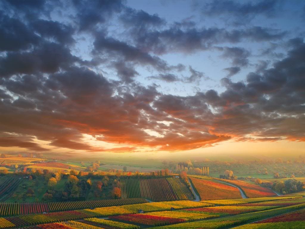 Landscape10.jpg