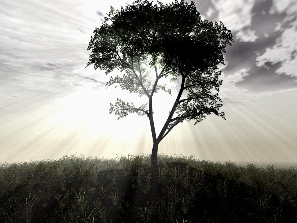 Landscape16.jpg
