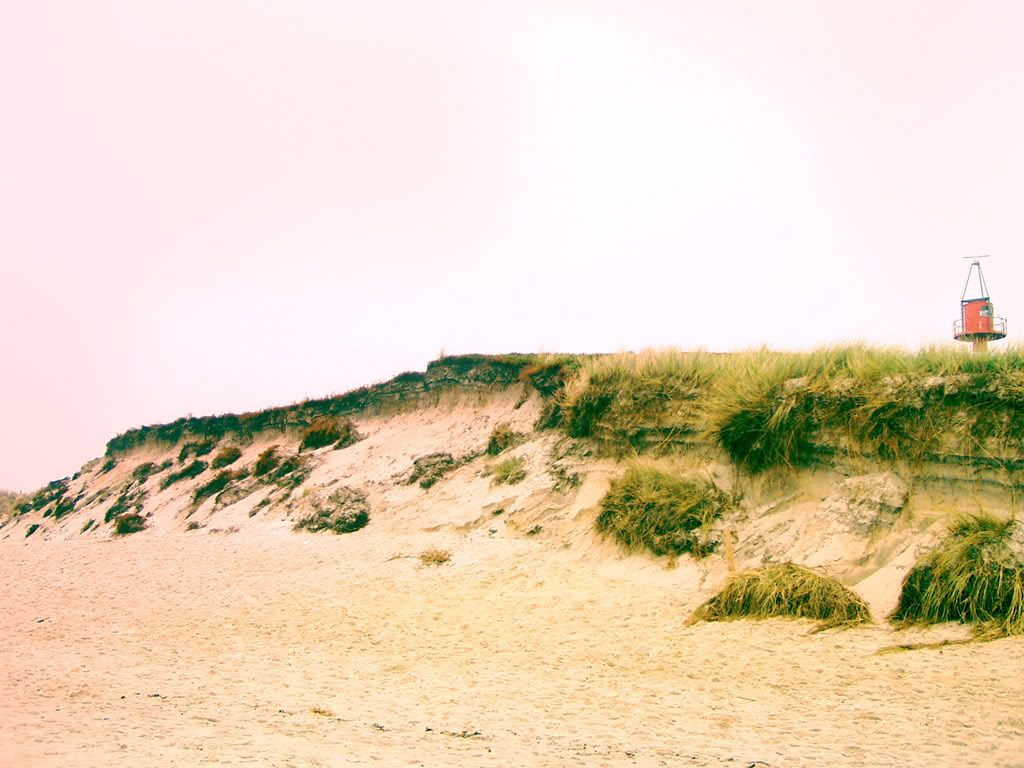 Landscape28.jpg
