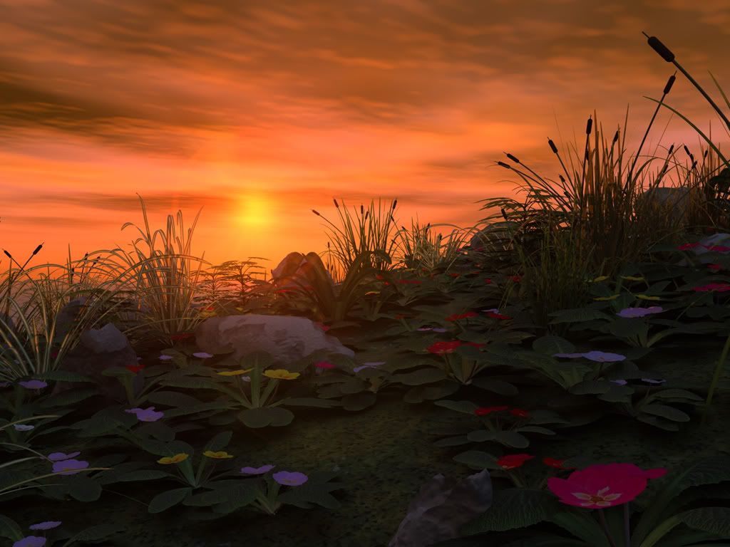 Landscape34.jpg