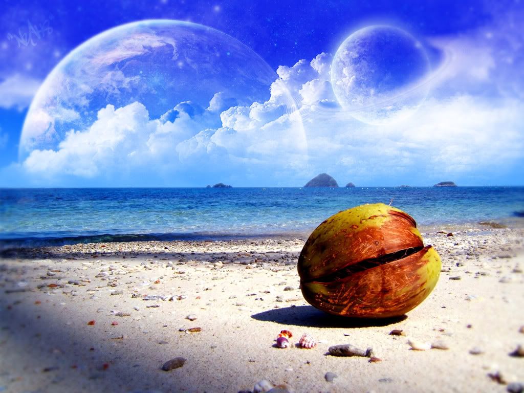 Landscape35.jpg