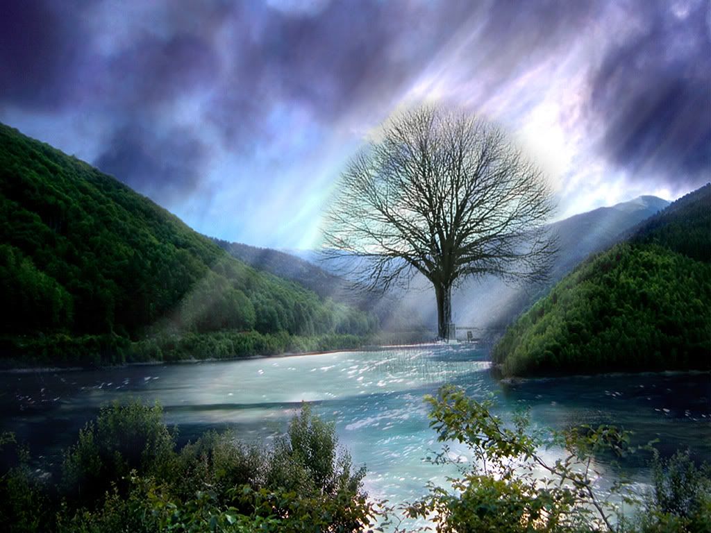 Landscape36.jpg