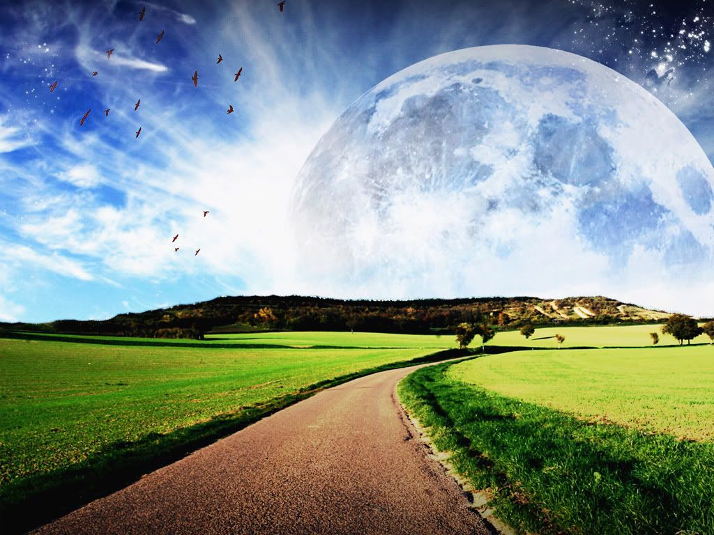 Landscape51.jpg