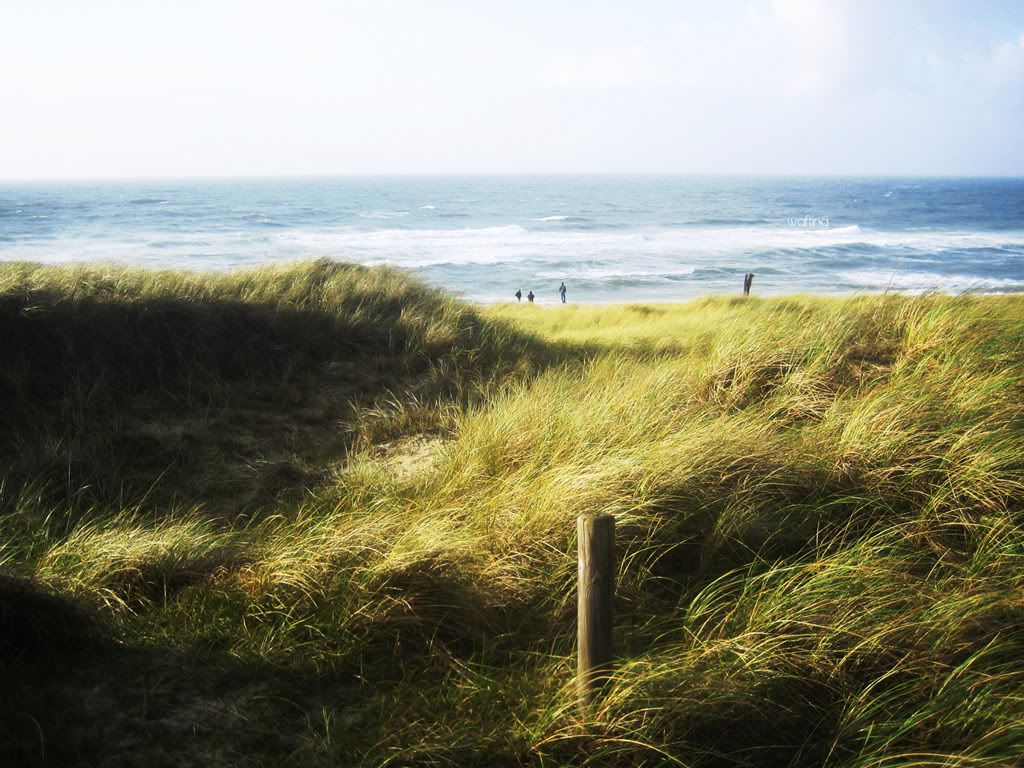 Landscape54.jpg