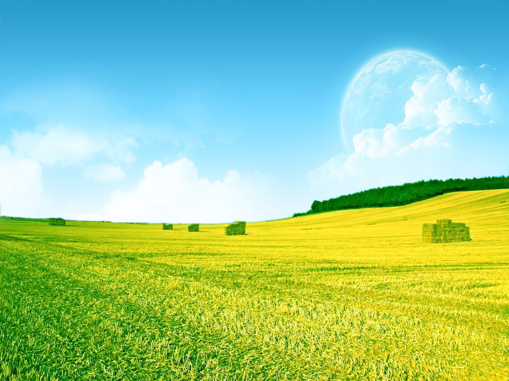 Landscape57.jpg