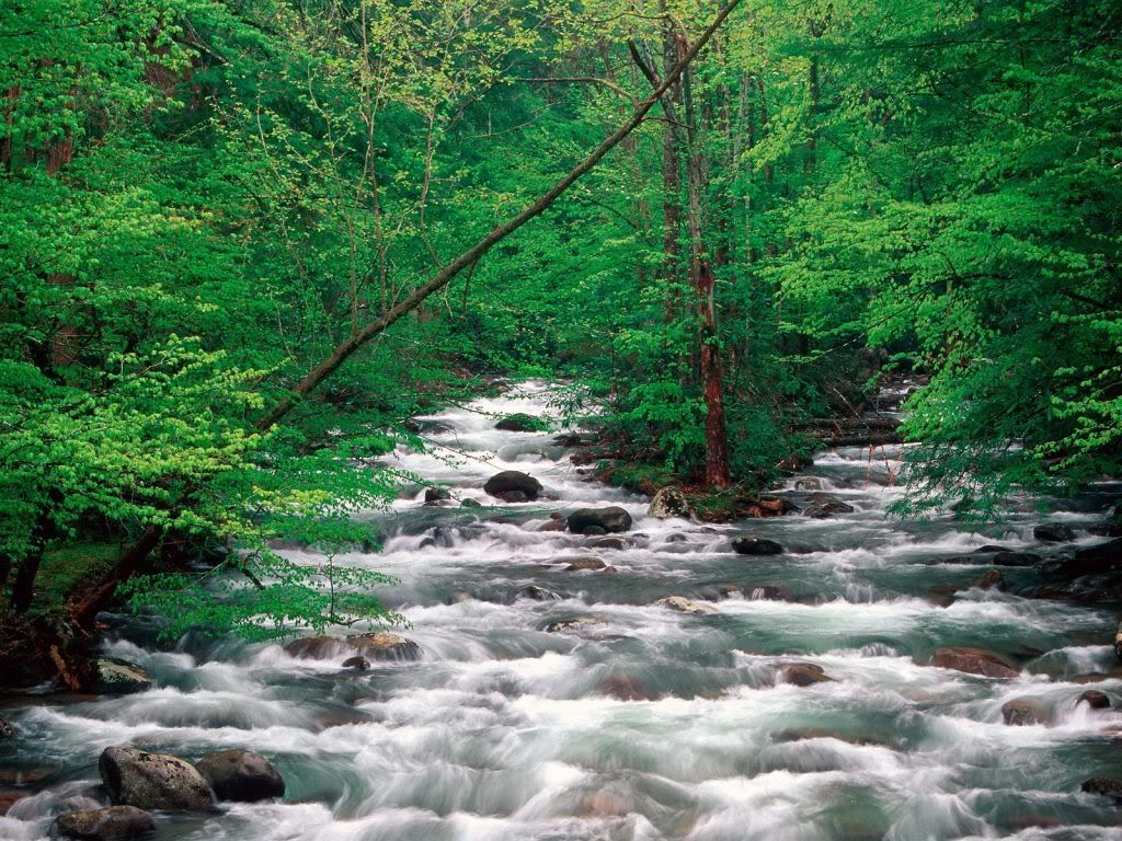 LittlePigeonRiverGreatSmokyMountain.jpg