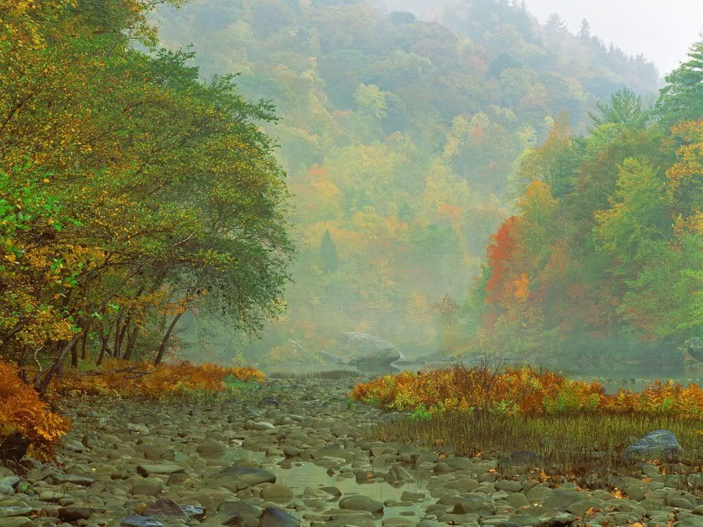MistyMorningSunriseBigSouthForkRive.jpg