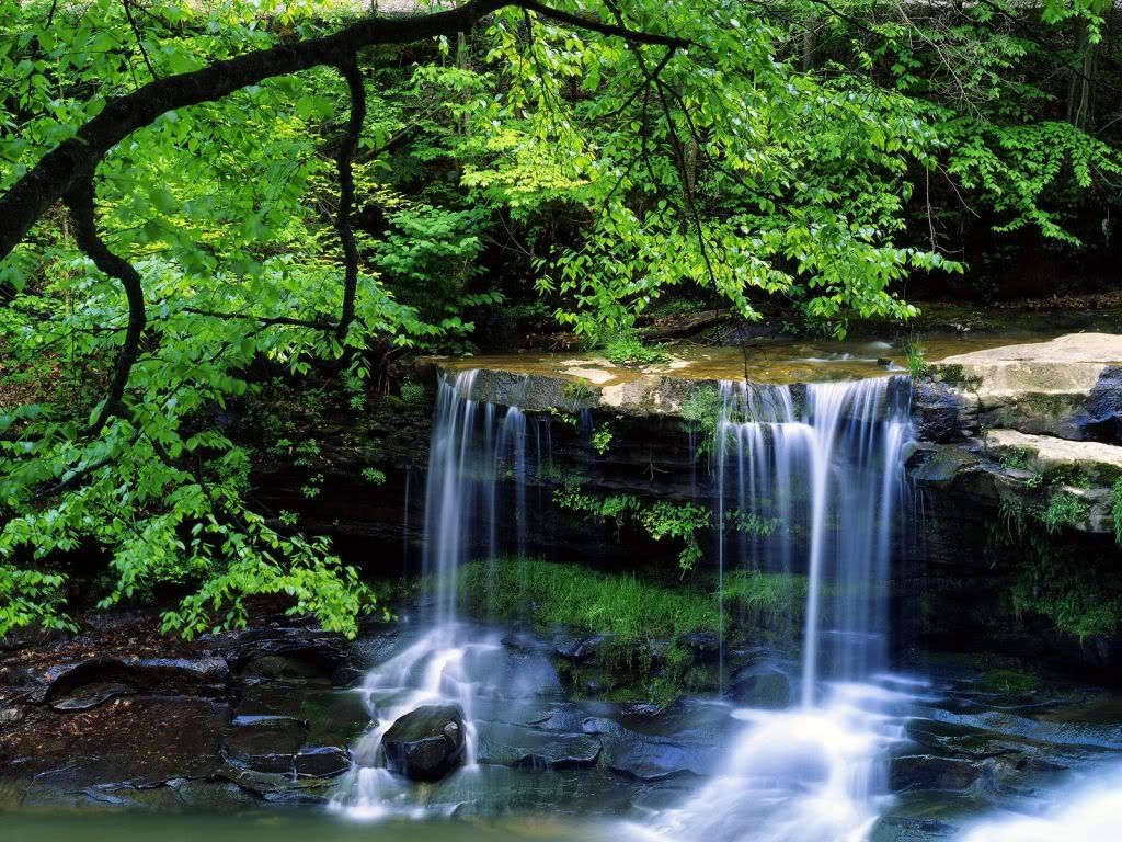 NewRiverGorgeNationalRiverWestVirgi.jpg