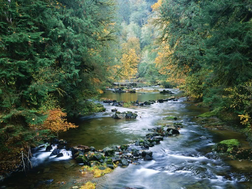 NorthForkoftheSmithRiverSiuslawNati.jpg