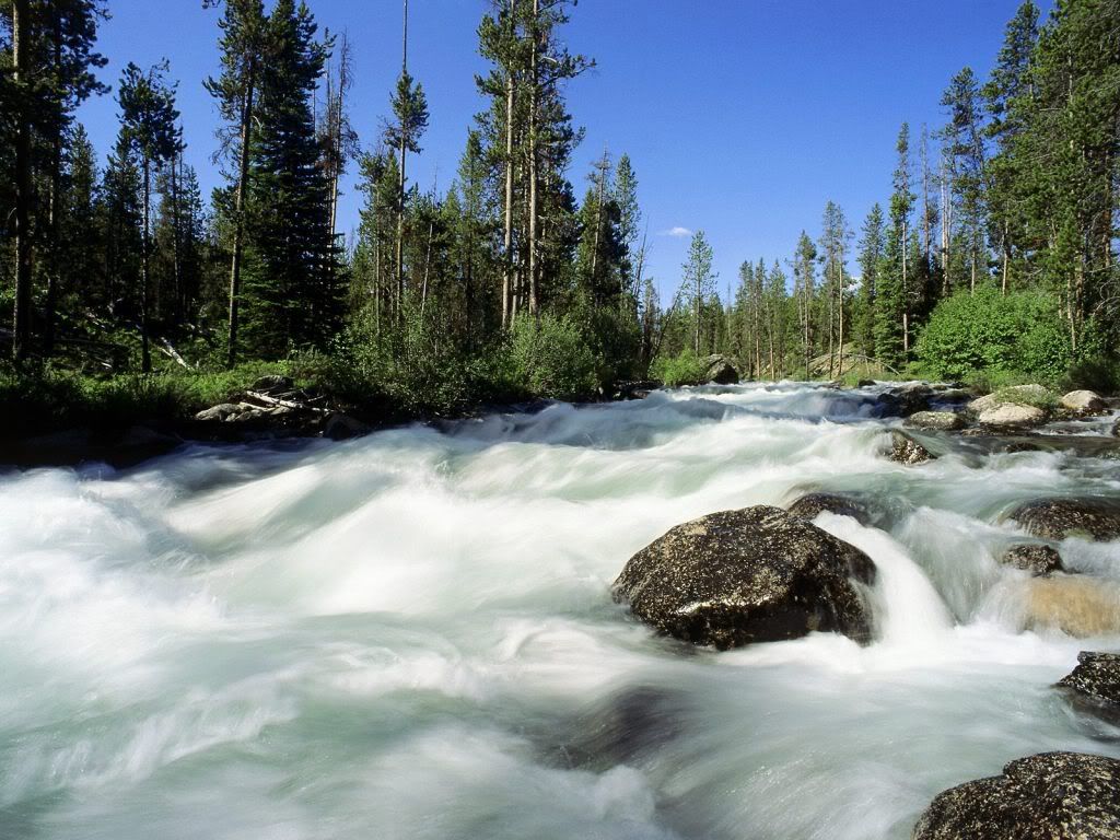 RedfishCreekIdaho.jpg