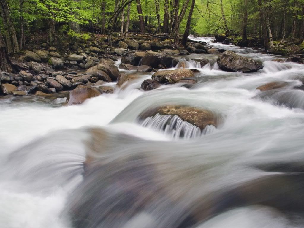 RushingCreekinSpringGreatSmokyMount.jpg