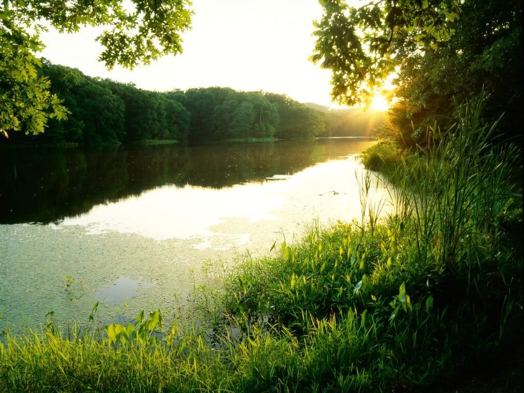 SchlammLakeatSunsetClarkStateForest.jpg