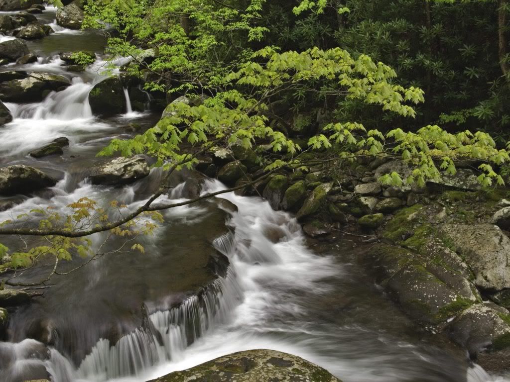 StreamGreatSmokyMountainsNationalPa.jpg