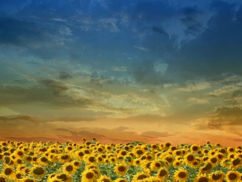 Wallpaper26.jpg