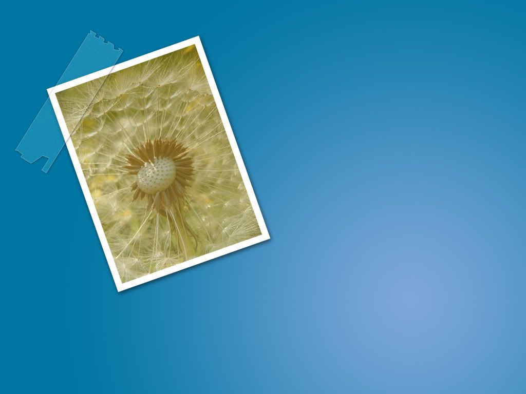 Wallpaper7.jpg