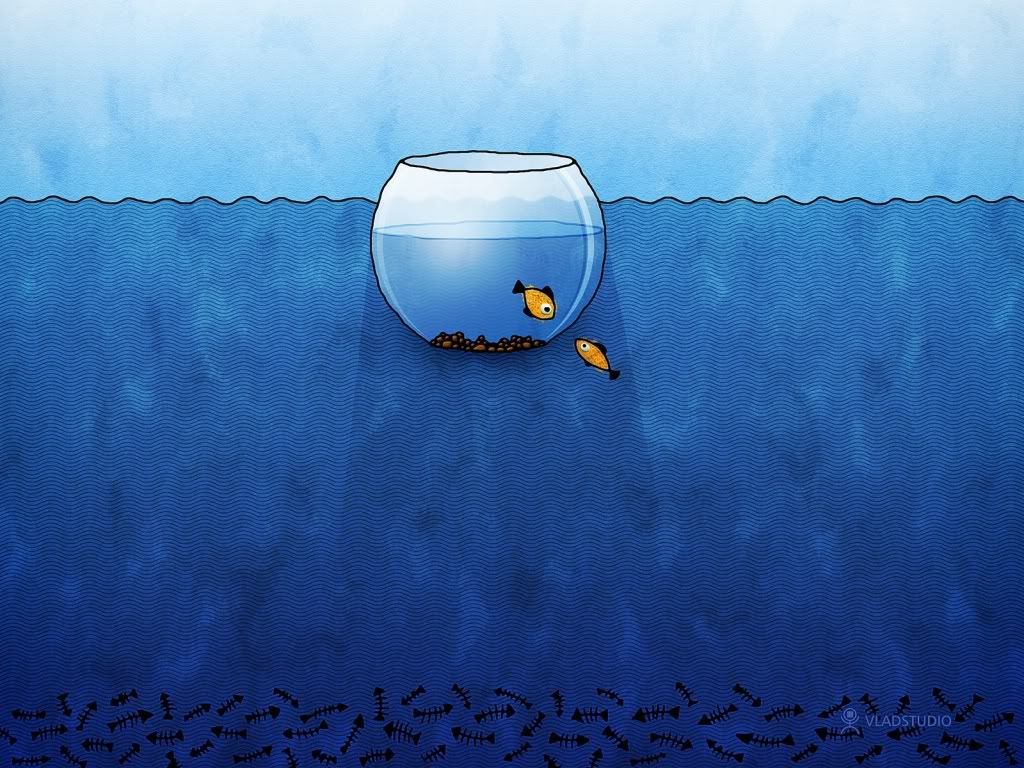 Wallpaper8.jpg