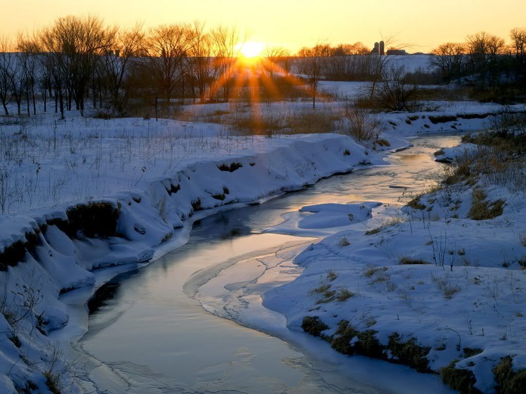 WinterSunsetAlongFranklinCreekLeeCo.jpg