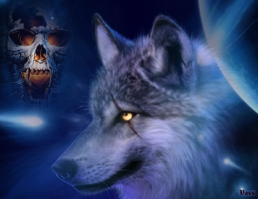 wolf_9.jpg