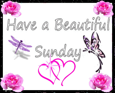Beautiful Sunday Dragonfly butterfly Pictures, Images and Photos