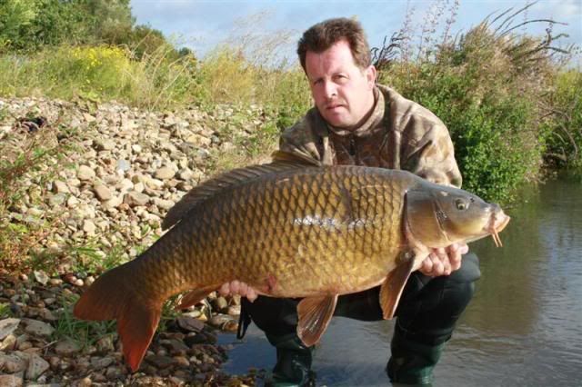 Maas schub 39,2 pond