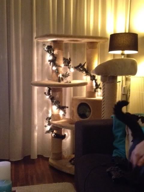 foto1.jpg
