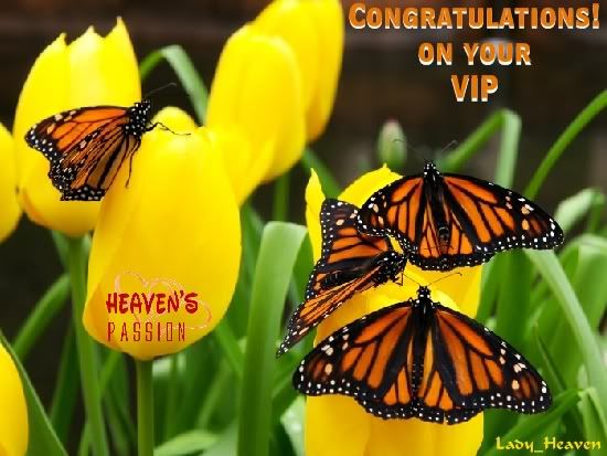 Congratulations on your VIP!