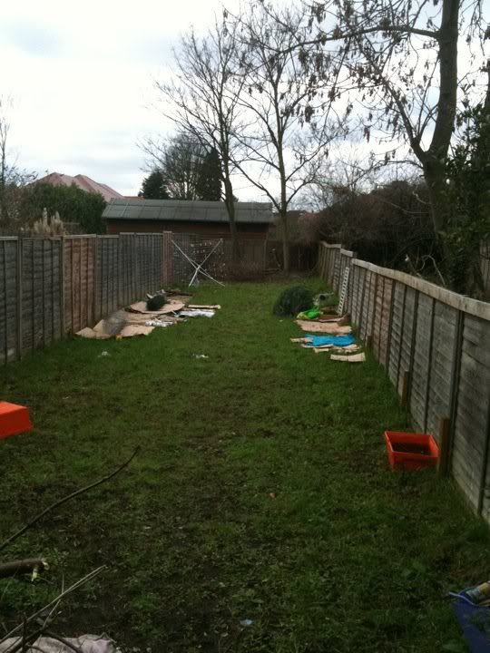 garden2.jpg