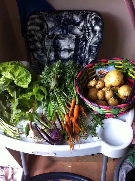 veg1.jpg