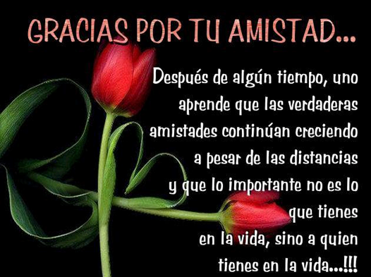  photo fotos-con-frases-hermosas-para-mi-novia_zpsts6mgeey.png