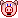 pig Pictures, Images and Photos