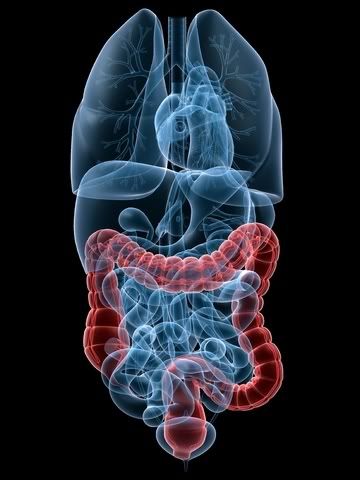 Colon Cancer Pictures, Images and Photos
