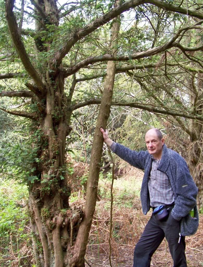 Woodworking Plans How To Build A Yew Wood Bow PDF Plans