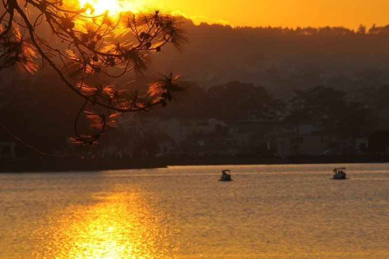 Đà Lạt có bao nhiêu anh em 5s - 3