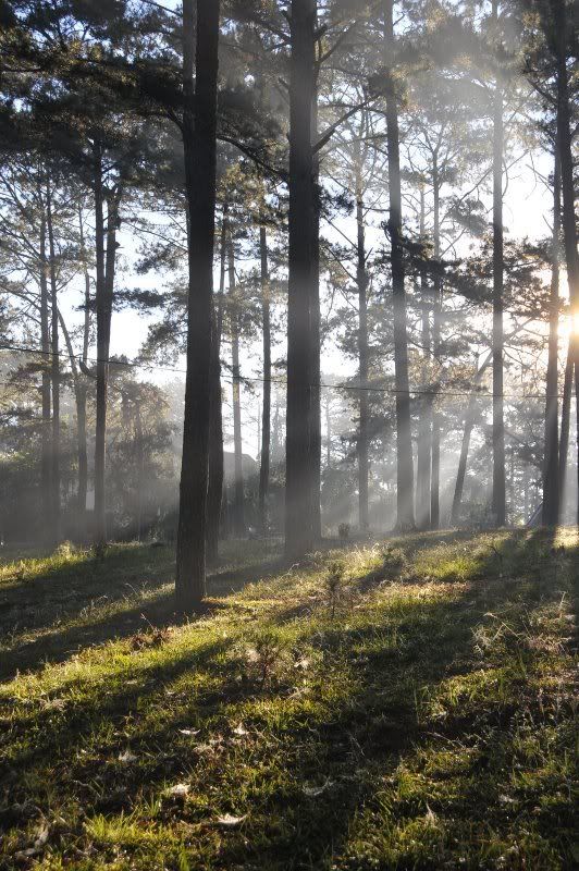 Đà Lạt có bao nhiêu anh em 5s - 1