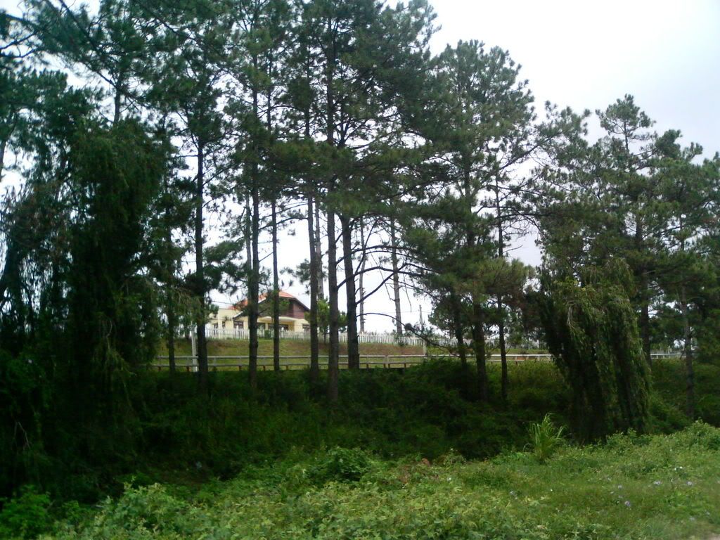 Đà Lạt có bao nhiêu anh em 5s - 10