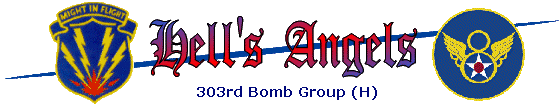 303rd Bomb Group Logo