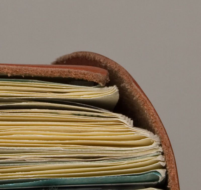 IMAGE: http://i411.photobucket.com/albums/pp196/benesotor/IMG_2593100c.jpg