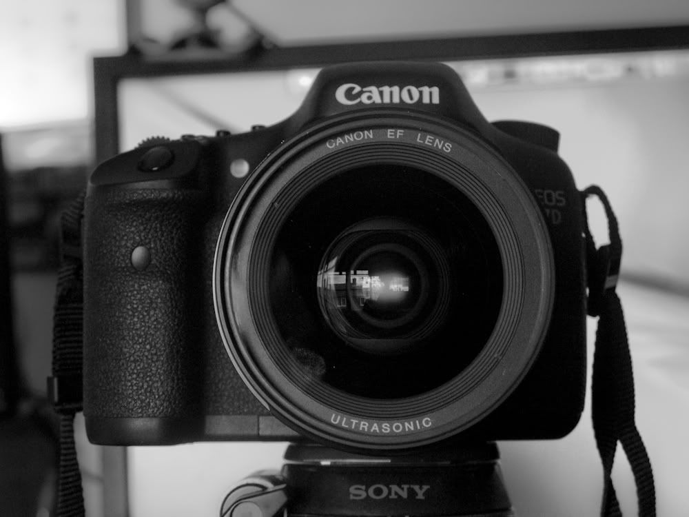 IMAGE: http://i411.photobucket.com/albums/pp196/benesotor/IMG_3996.jpg