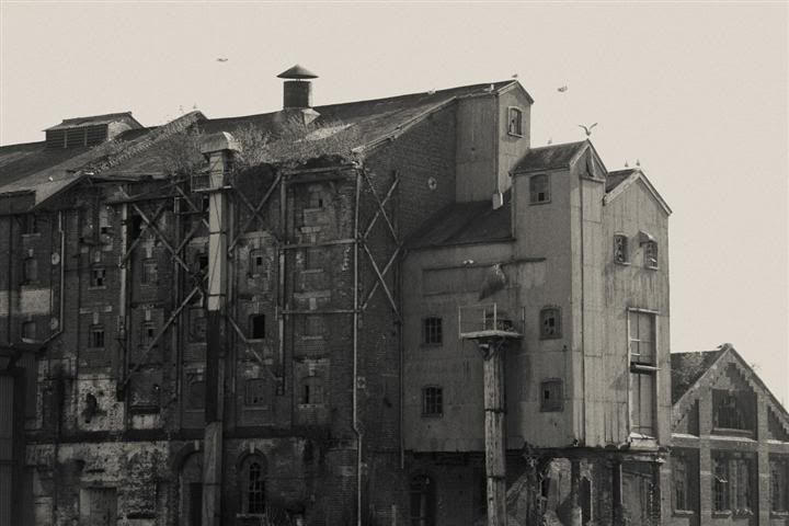 IMAGE: http://i411.photobucket.com/albums/pp196/benesotor/_MG_4615Small.jpg