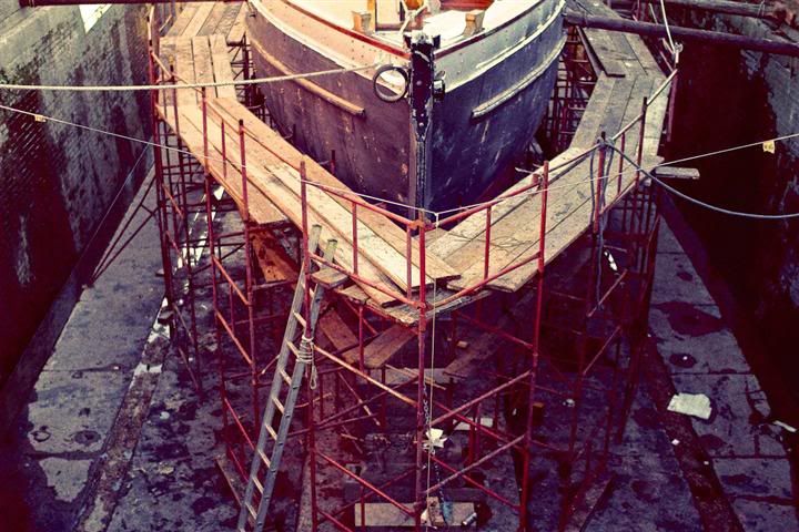 IMAGE: http://i411.photobucket.com/albums/pp196/benesotor/_MG_4656Small.jpg