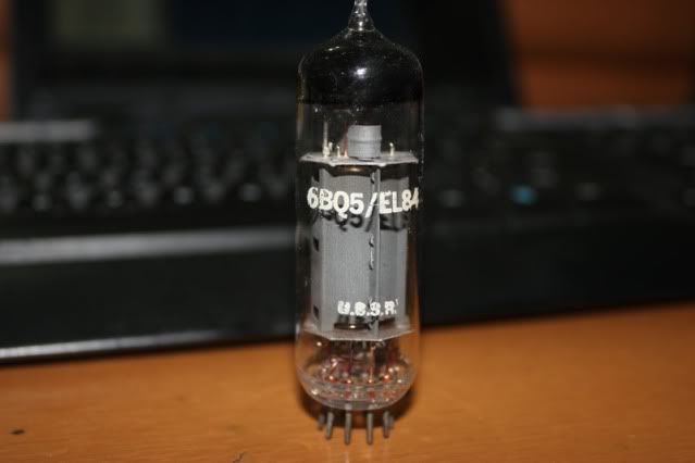 [Image: IMG_3995_800x533.jpg]